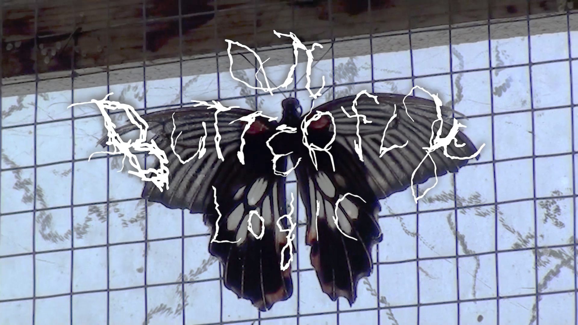 Mustavalkoinen perhonen, jossa punaisia täpliä, ruudukkotaustalla. Kuvassa teksti “Butterfly Logic”.